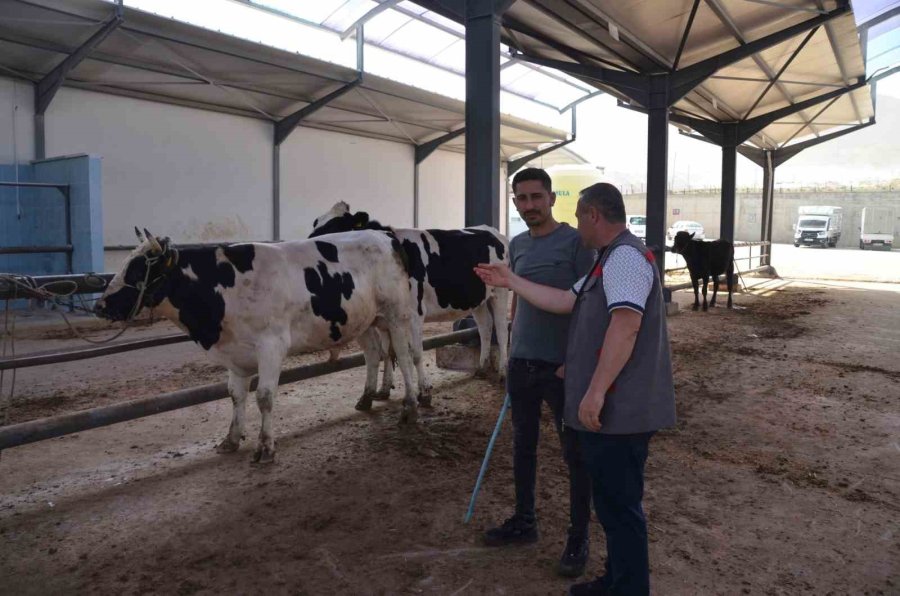 Niğde’de Kurbanlık Hayvan Satış Yerleri Denetleniyor