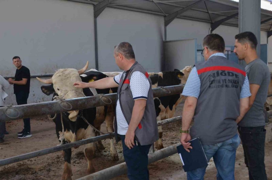 Niğde’de Kurbanlık Hayvan Satış Yerleri Denetleniyor