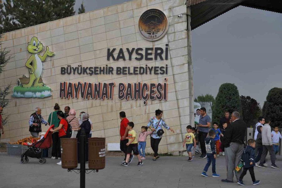 Büyükşehir Hayvanat Bahçesi, Kurban Bayramı’nda Ücretsiz