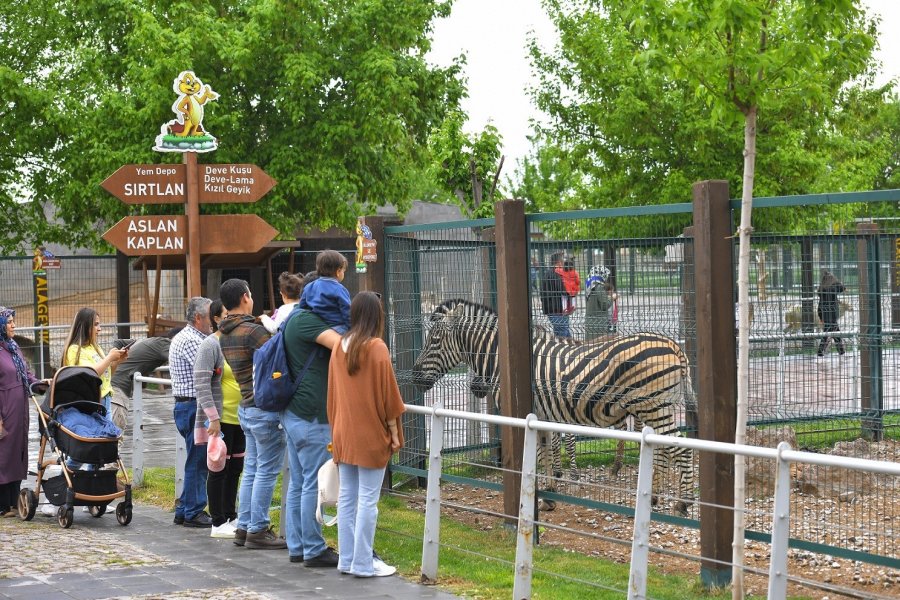 Büyükşehir Hayvanat Bahçesi, Kurban Bayramı’nda Ücretsiz