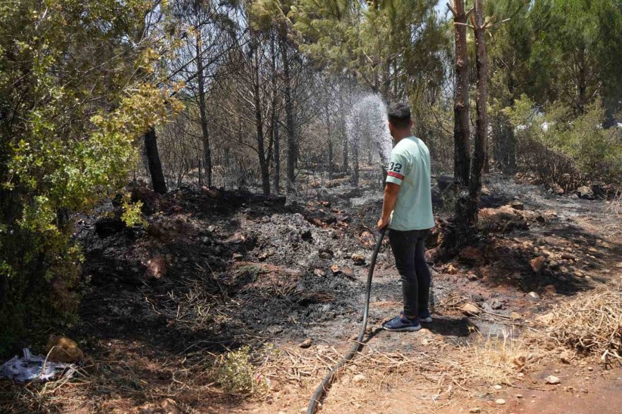 Antalya’da Çıkan Orman Yangını Ekipler Ve Vatandaş İşbirliğiyle Söndürüldü