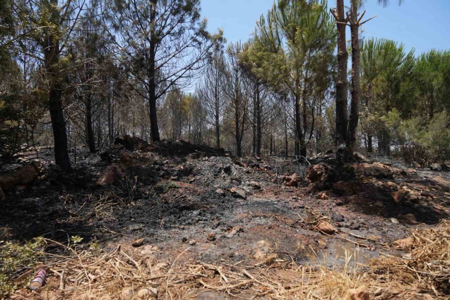 Antalya’da Çıkan Orman Yangını Ekipler Ve Vatandaş İşbirliğiyle Söndürüldü