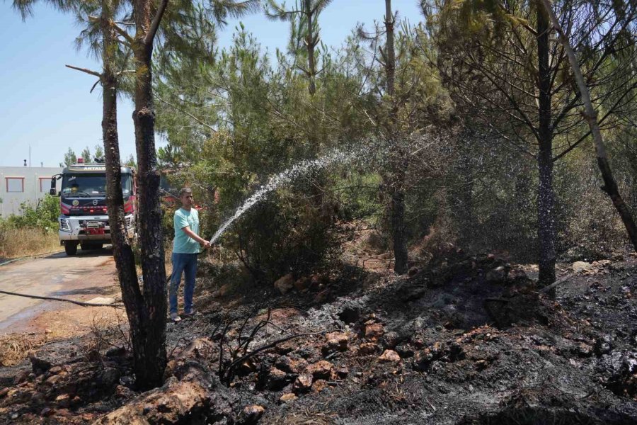 Antalya’da Çıkan Orman Yangını Ekipler Ve Vatandaş İşbirliğiyle Söndürüldü