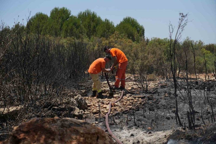 Antalya’da Çıkan Orman Yangını Ekipler Ve Vatandaş İşbirliğiyle Söndürüldü