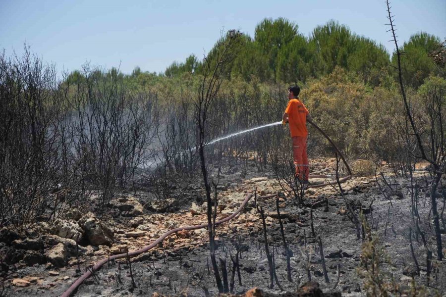 Antalya’da Çıkan Orman Yangını Ekipler Ve Vatandaş İşbirliğiyle Söndürüldü