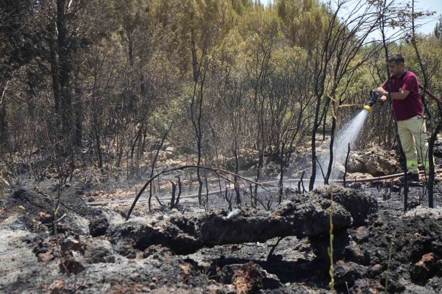 Antalya’da Çıkan Orman Yangını Ekipler Ve Vatandaş İşbirliğiyle Söndürüldü