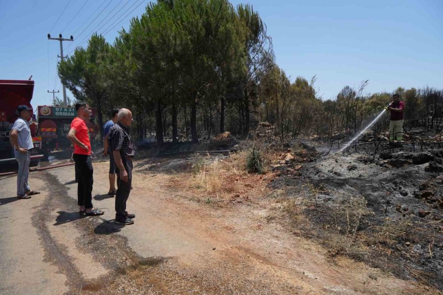 Antalya’da Çıkan Orman Yangını Ekipler Ve Vatandaş İşbirliğiyle Söndürüldü