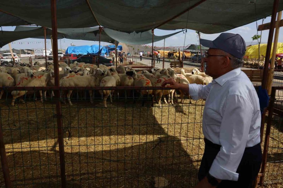 Başkan Büyükkılıç, Mimarsinan Kurban Pazarı’nı Ziyaret Etti