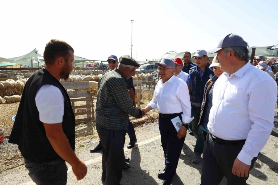 Başkan Büyükkılıç, Mimarsinan Kurban Pazarı’nı Ziyaret Etti