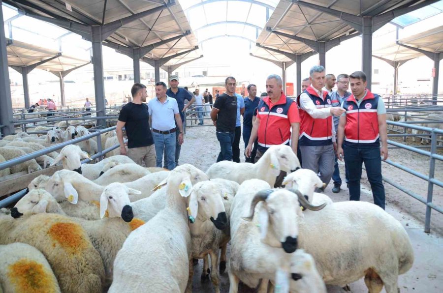 Kurban Satış Yerlerinde Denetimler Sürüyor