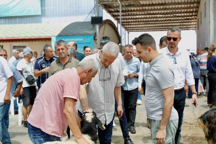 Alanya Belediye Başkanı Özçelik’ten Yoğun Bayram Mesaisi