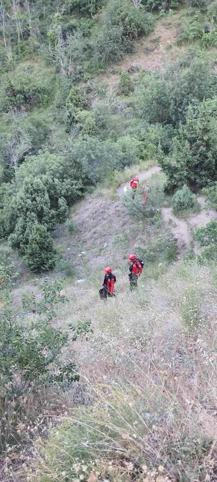 Kuyuya Düşen Köpeği Akut Ekipleri Kurtardı