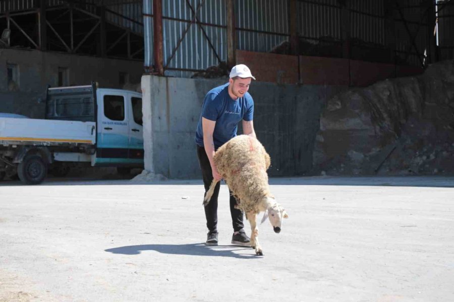 Ücretsiz Kurban Kesim Yeri Tam Not Aldı