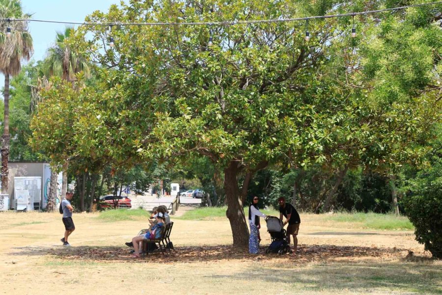 Antalya’da Nem Oranı Yüzde 86’yı Geçti, Şehrin Üzerini Sis Bulutu Kapladı