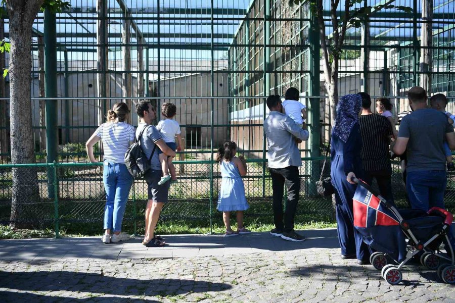 Büyükşehir Hayvanat Bahçesi’nin Misafirlerine Bayramda Ziyaretçi Akını