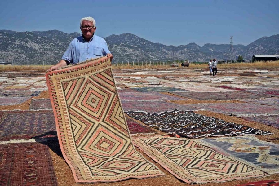 Abd’deki Binlerce Halı Meraklısının Gözü Bu Tarlada