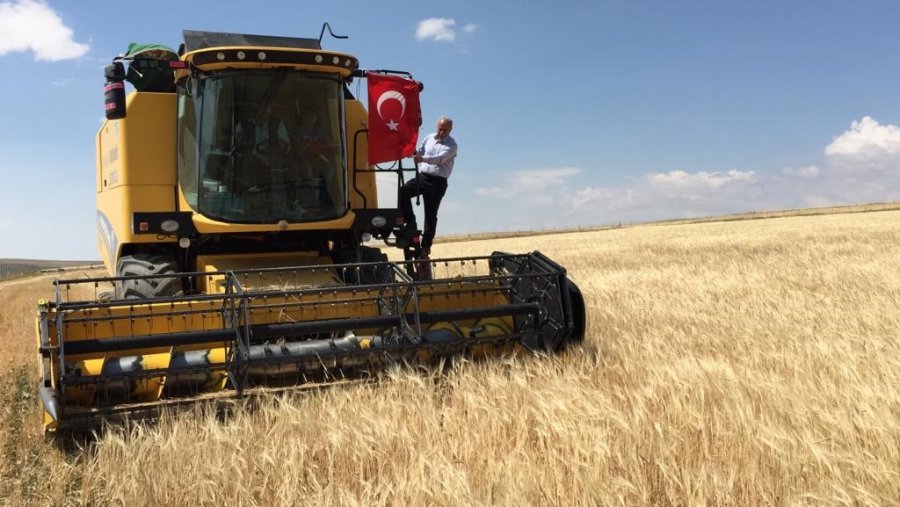 Kulu’da Tarım Alanlarında Hasat Başladı