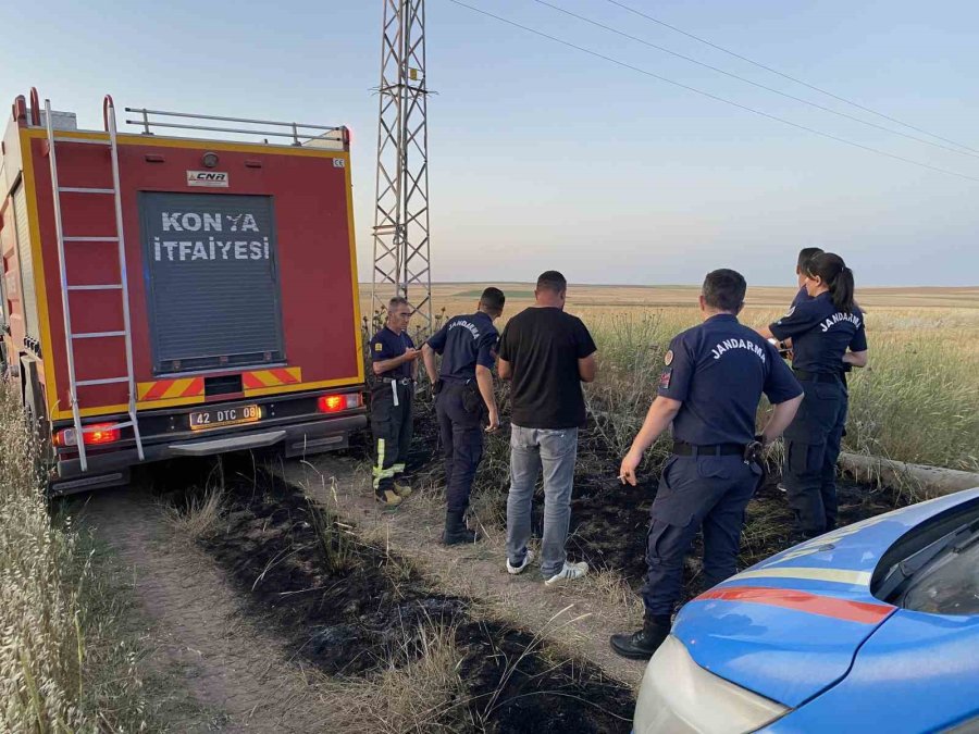 Elektrik Akımına Kapılan Kuşlar Yangına Neden Oldu