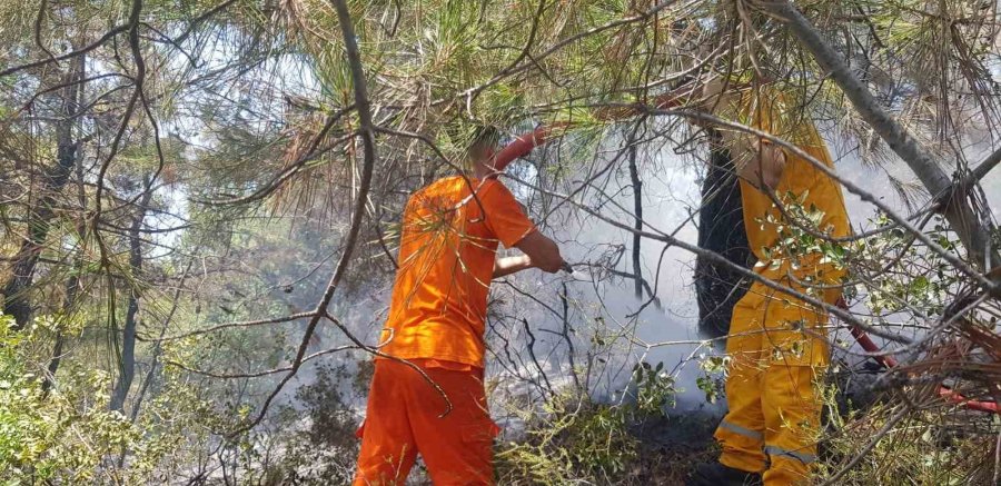 Alanya’daki Orman Yangını Büyümeden Kontrol Altına Alındı