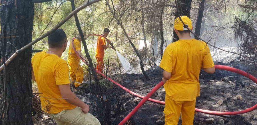 Alanya’daki Orman Yangını Büyümeden Kontrol Altına Alındı