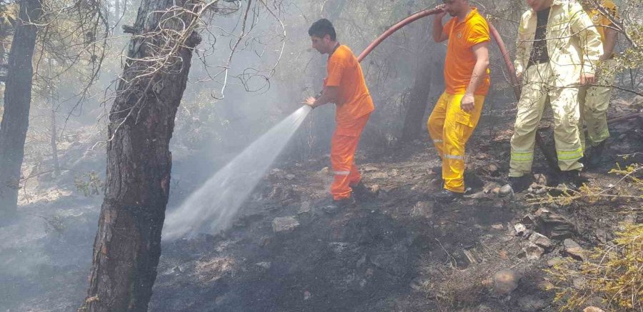 Alanya’daki Orman Yangını Büyümeden Kontrol Altına Alındı