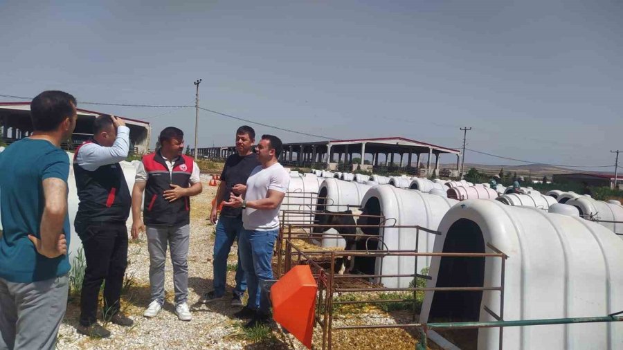 Eskişehir’de Ari İşletme Sayısı Genç Yetiştiricilerle Çoğalıyor