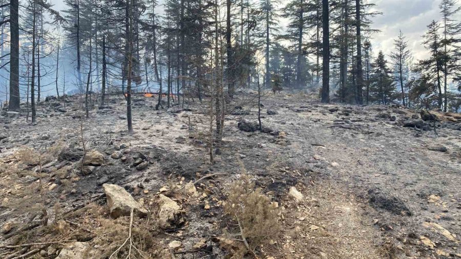 Karaman’da Çıkan Orman Yangını Kontrol Altına Alındı