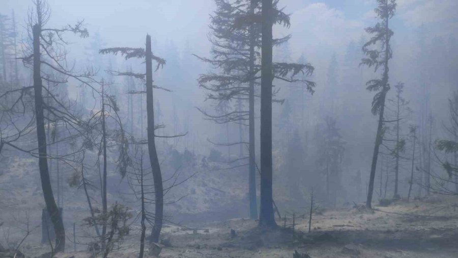 Karaman’da Çıkan Orman Yangınına Havadan Ve Karadan Müdahale Ediliyor