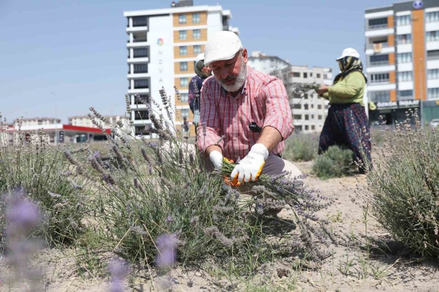 Kayseri’nin Parfüm Kokan Mahallesi: Erkilet