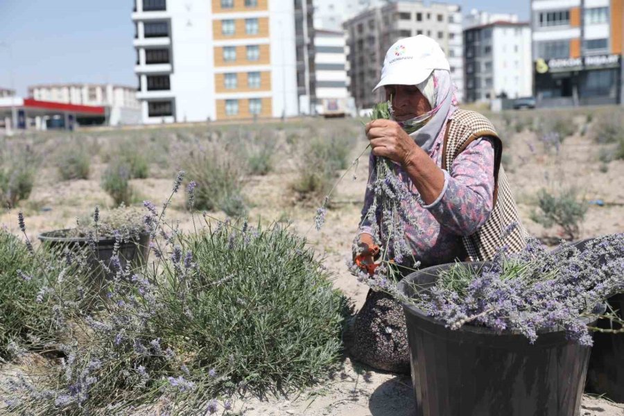 Kayseri’nin Parfüm Kokan Mahallesi: Erkilet