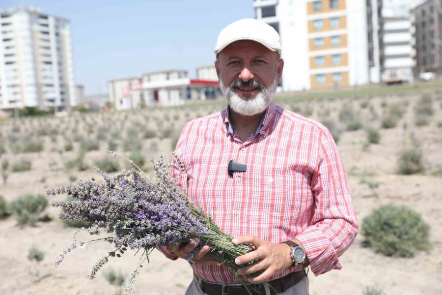 Kayseri’nin Parfüm Kokan Mahallesi: Erkilet