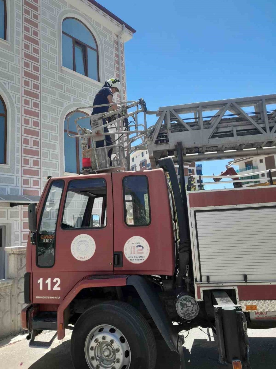 Cami Kubbesinde Mahsur Kalan Yaralı Leyleğe Kurtarma Operasyonu