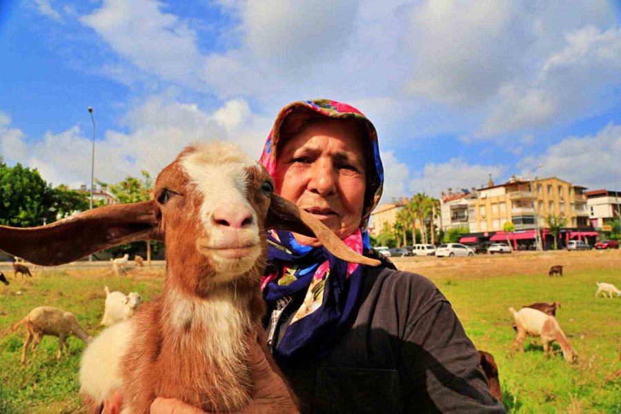 Antalya’nın Modern Çobanları