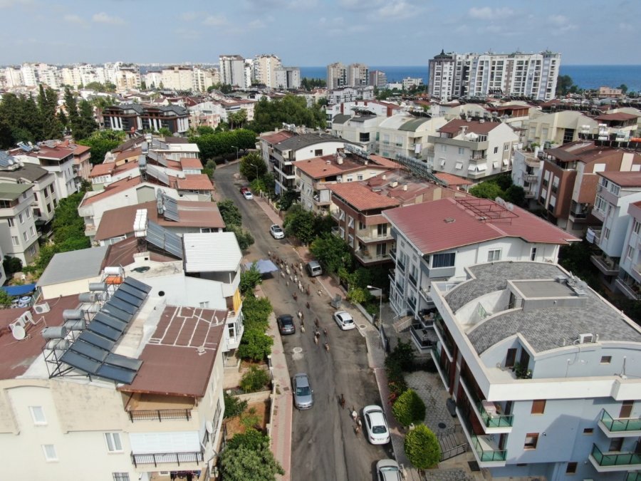 Antalya’nın Modern Çobanları