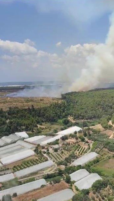 Antalya’da Orman Yangını