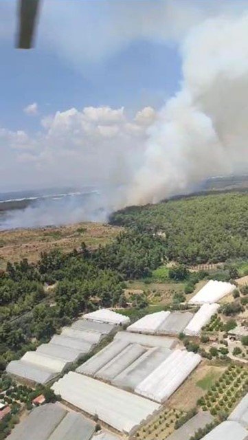 Antalya’da Orman Yangını