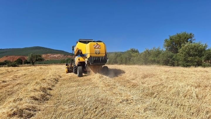 Verim Yüz Güldürdü, Fiyat Düşündürdü