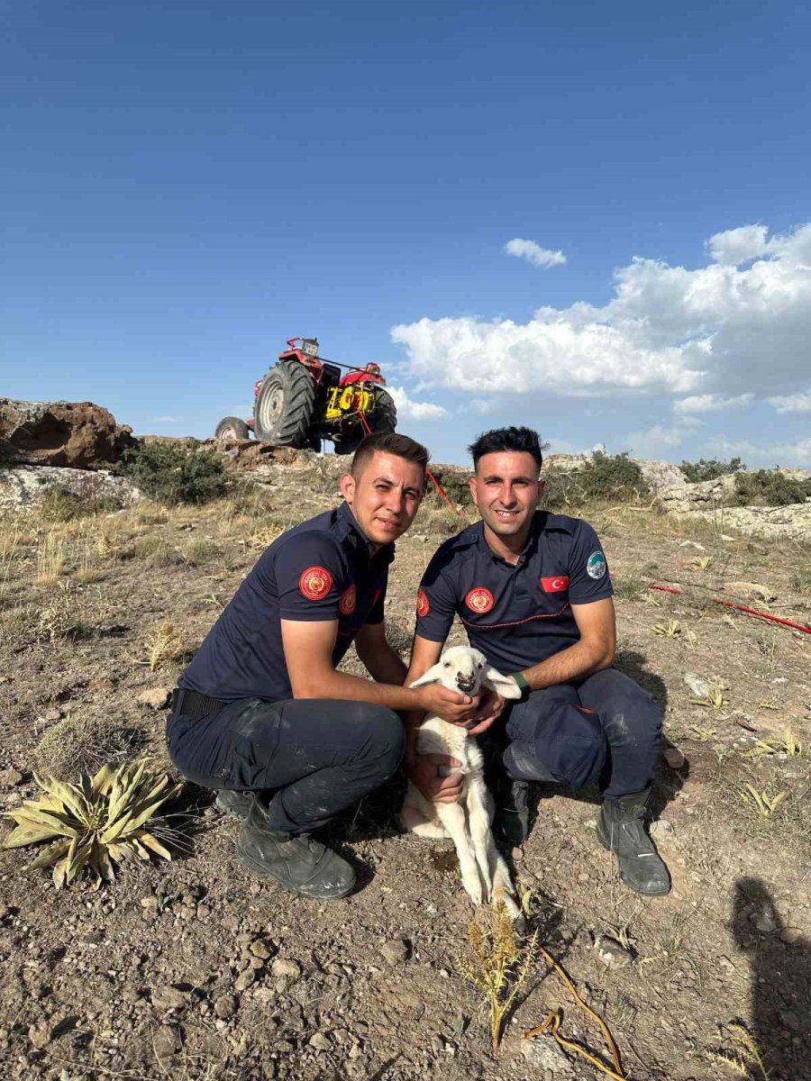 Kayalıklara Sıkışan Kuzu 2,5 Saatlik Çalışma İle Kurtarıldı