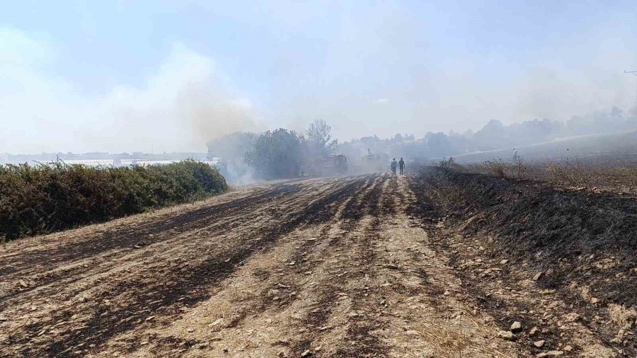 Çöplerden Çıkan Yangın, Zeytin Ağaçlarına Zarar Verdi