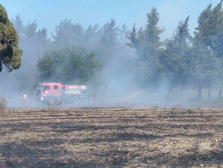 Antalya’da Boş Arazide Çıkan Yangın Ormanlık Alana Sıçradı