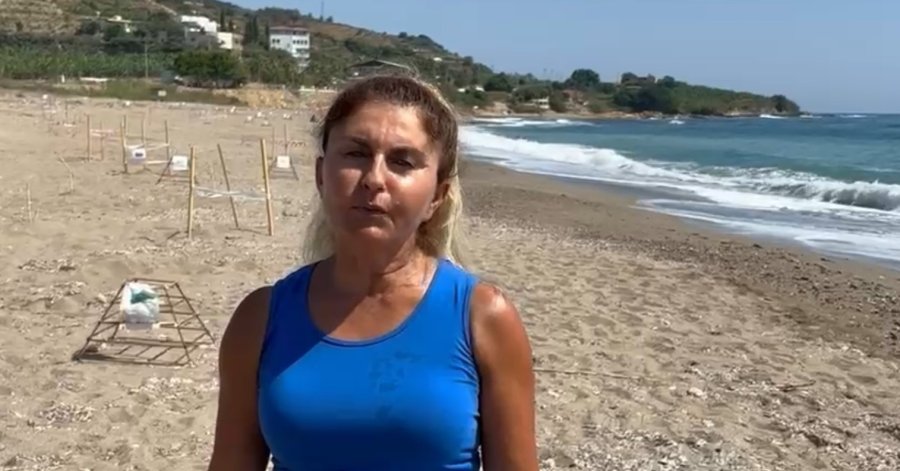 Alanya’da İlk Yavru Caretta Carettalar Denizle Buluştu