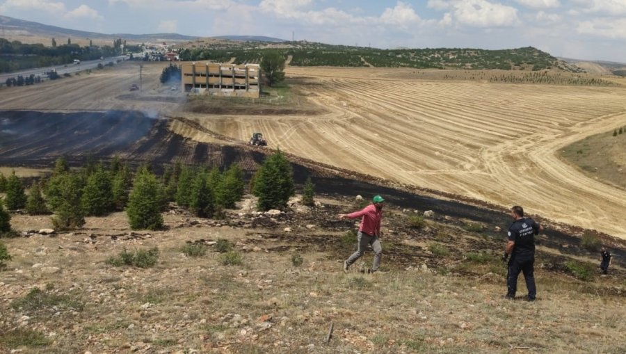 Ağaçlandırma Sahasındaki Yangın Büyümeden Söndürüldü