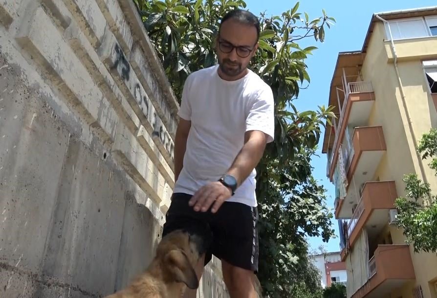 Sokak Köpeğine Şiddete Şahit Oldu, Üzerine Kayıtlı Olmadığı İçin Şikayetçi Olamadı