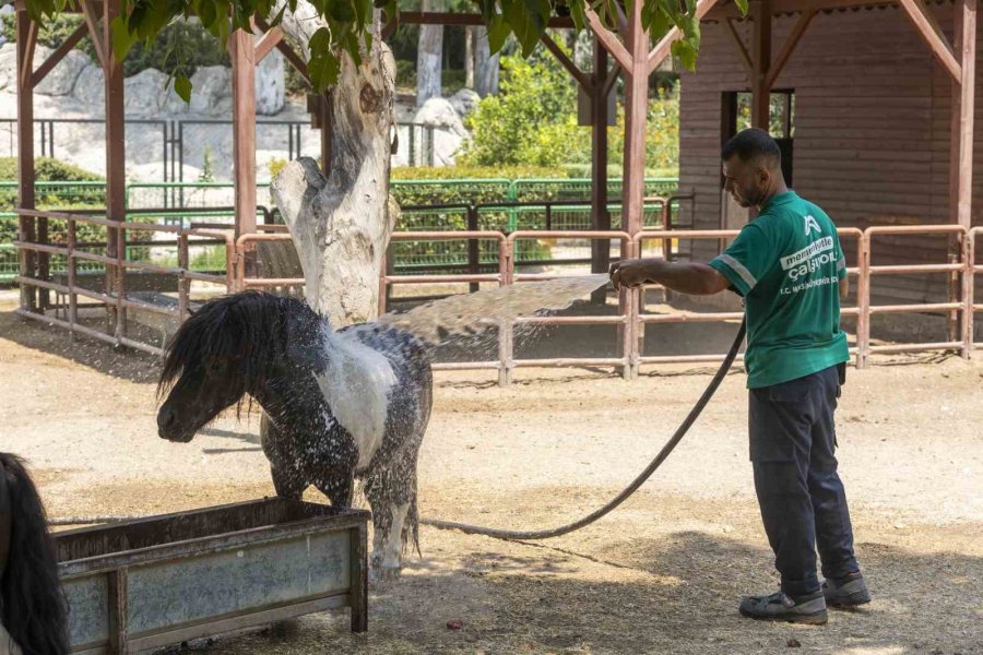 Doğa Parkı’ndaki Hayvanlar Buzlu Meyve İle Serinletiliyor