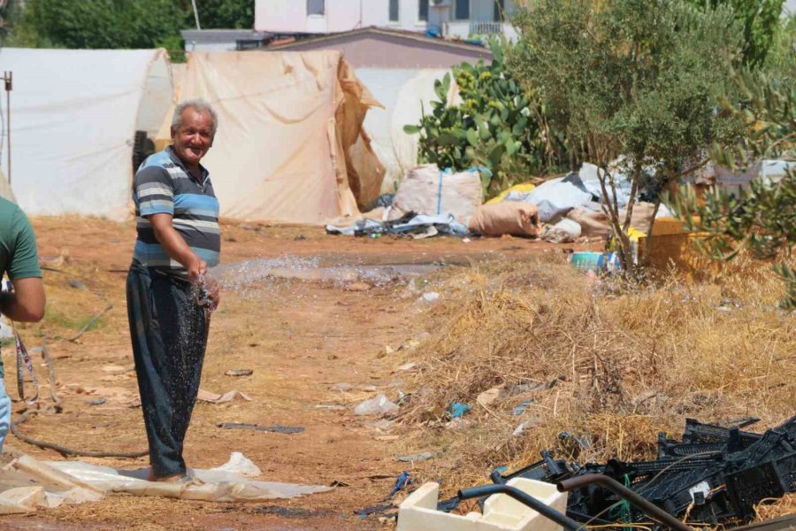 Otluk Alanda Başlayan Yangın Seralara Sıçradı