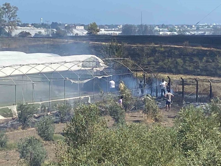 Serik’te Korkutan Yangında Seralar Zarar Gördü