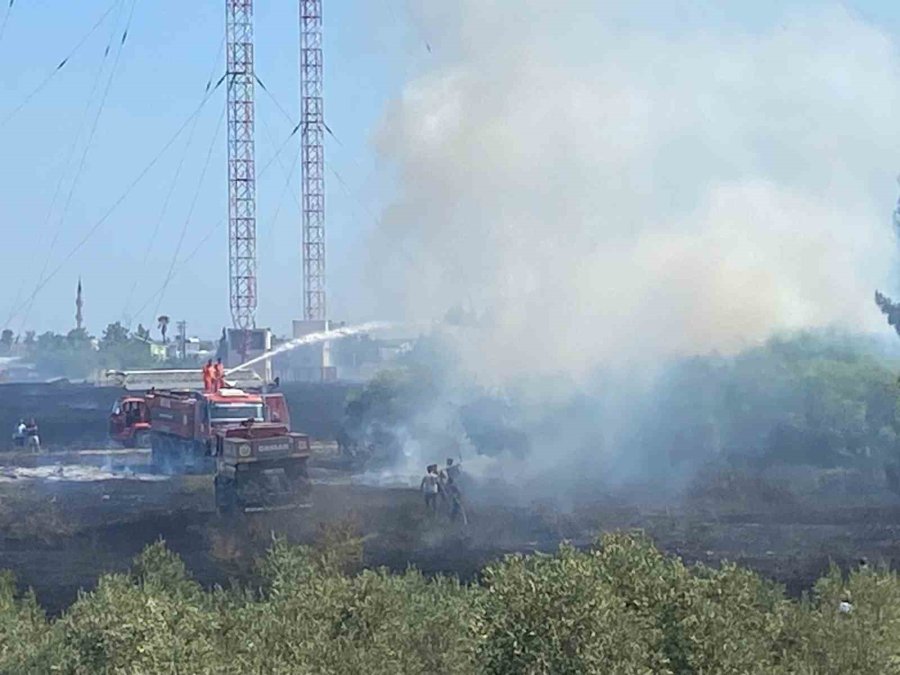 Serik’te Korkutan Yangında Seralar Zarar Gördü