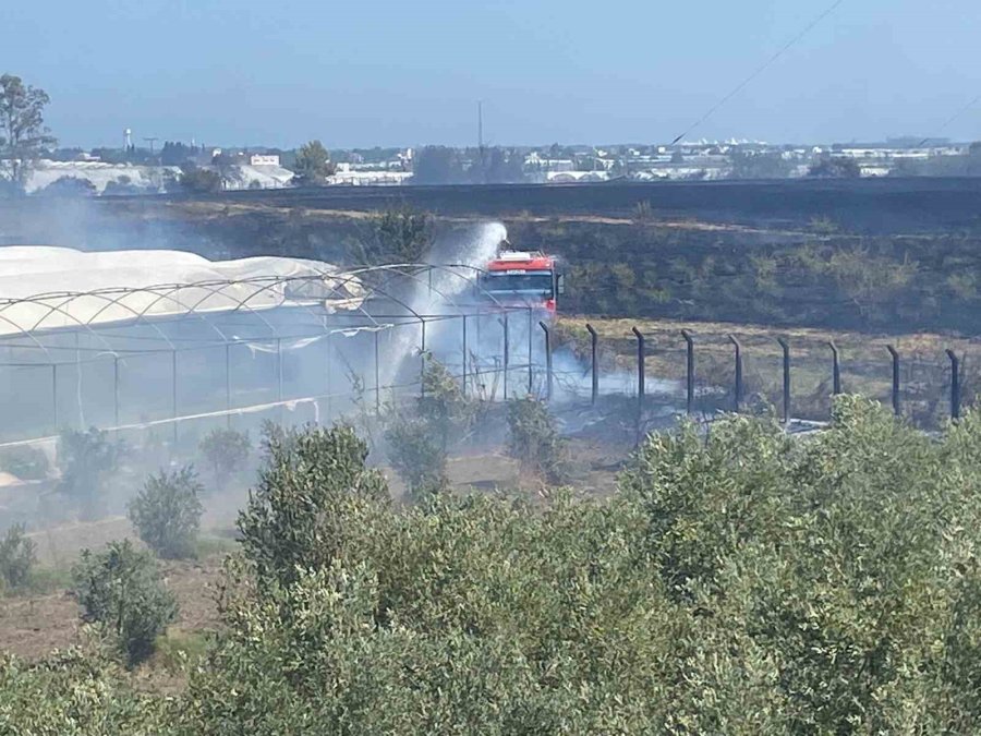 Serik’te Korkutan Yangında Seralar Zarar Gördü