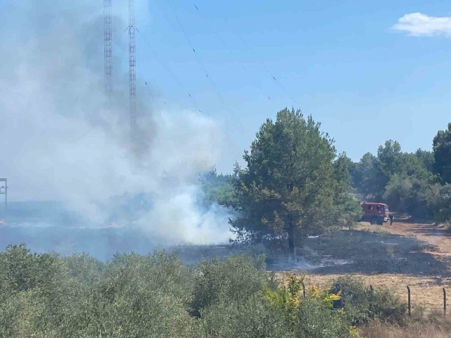 Serik’te Korkutan Yangında Seralar Zarar Gördü