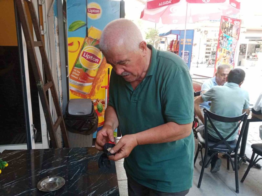 Esnafın ’yavru Kumruyu Kurtarma’ Çabası Görenlerin Takdirini Topladı